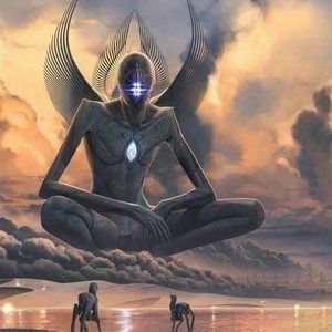 Meet your Posher, Noah